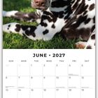 "JUNE • 2027" steht oben in einem Kalender. Darunter ein Dalmatiner, der auf grünem Gras liegt.