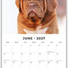 Text: "JUNE 2027". Ein Welpe mit braunem Fell schaut nach vorne. Es ist ein Kalenderblatt mit Notizfeldern am unteren Rand.