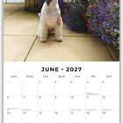 Juni 2027 Kalender mit einem Hund, umgeben von lila und grünen Pflanzen auf einer Terrasse.