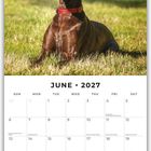 Juni 2027 Kalender mit Bildern eines dunkelbraunen Hundes auf einer Wiese. Feiertage und Notizbereich unten.