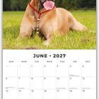 Text: "June 2027". Ein Kalenderblatt mit einem sitzenden Hund auf einer Wiese. Kalenderdaten und Feiertage aufgeführt.
