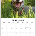 Kalender für Juni 2027. Bild eines lächelnden Hundes im Grünen. Enthält Feiertage wie Flag Day und National Indigenous Peoples Day.