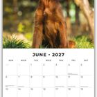 "June 2027" Kalender; roter Irish Setter sitzt auf Gras vor unscharfem Waldhintergrund.