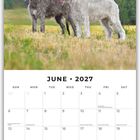 Juni 2027 Kalender, zwei große Hunde im Vordergrund, stehen auf einer Wiese mit Wald im Hintergrund.