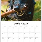 "JUNE 2027" steht oben. Ein schwarzer Hund hält einen Stock im Maul, umgeben von grüner Natur.