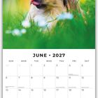 Juni 2027 Kalender mit Hund im Gras. Im Hintergrund sind gelbe und grüne Farbtöne.
