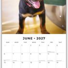 Kalender für Juni 2027. Ein lächelnder Rottweilerwelpe sitzt auf einer gelben Oberfläche.