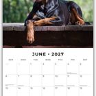 Juni 2027 Kalender; Feiertage; Bild: Ein Hund liegt auf einem Holzsteg mit einem grünen Hintergrund.