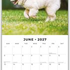 Text: "June 2027" und Kalendertage. Oberhalb ein flauschiger, weißer Hund läuft über eine grüne Wiese.