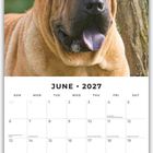"June 2027" steht oben. Darunter Kalender mit einem braunen, faltigen Hund abgebildet.