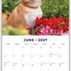 Kalenderseite Juni 2027, mit einem Hund vor roten und weißen Blumen. Daten für Feiertage sind aufgeführt.