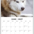 Juni 2027, Kalender mit Feiertagen und Notizbereich. Bild: Ein Husky mit blauen Augen schaut zur Seite.