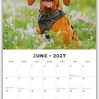 Text "June 2027". Ein rothaariger Hund sitzt auf einer Wiese mit lila Blumen. Darunter ein Kalenderblatt.
