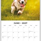 Kalenderblatt Juni 2027, oben ein laufender Hund auf einer Wiese, darunter die Monatsübersicht mit Notizenbereich.