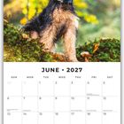 „June 2027“ steht oben. Kalender unten mit Wochen von Sonntag bis Samstag. Oben ein Hund vor grün-gelbem Hintergrund.