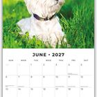 "JUNE 2027" steht über einem Kalender. Über dem Kalenderbild liegt ein Hund im Gras.
