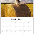 Juni 2027 Kalender, ein Hund sitzt auf einer Heuballenrolle unter blauem Himmel mit Wölkchen.