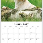 Juni 2027 Kalender. Ein gelber Labrador sitzt auf einem Baumstamm im grasigen Hintergrund.