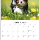 Oben steht "JUNE 2027". Ein kleiner Hund steht auf einer Wiese mit gelben Blumen. Darunter ein Kalender.