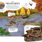"The Mississippi; Mississippi River flows through 10 US states; Coyotes are not fussy eaters; Scientists aren't sure why American paddlefish jump." Eine farbenfrohe Flusslandschaft mit Bäumen, Tieren und einer Stadt im Hintergrund.