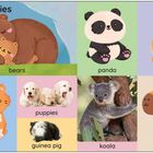 Der Text sagt: "Cosy cuties" und benennt Tiere wie Bären, Panda, Hase, Kätzchen, Welpen, Meerschweinchen, Koala, Capybara. Illustrationen zeigen sie süß.