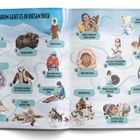 Darum geht es in diesem Buch: Einführung, Natur der Arktis, Kunst und Tattoos, Inuit-Frauen, Geister und Legenden.