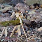 Ein skurriles Gebilde aus Treibholz, Knochen und Steinen, das wie ein tierähnliches Wesen auf einem steinigen Strand sitzt.