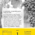 Am 31. Dezember in Kuba und Uruguay gibt es die Tradition des "baldazo". Kalenderseite für Januar.