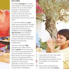 "Die italienische Familie: ein Grundpfeiler der Kultur des Landes. Beschreibung der familiären Rollen und Traditionen."
