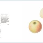 "Blaaupfel" ist der Titel. Links Text über Apfelsorte, rechts zwei ganze Äpfel und ein halbierter Apfel.