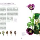 Legras Schlafmohn-Vase. Grünes Glas, teilweise handbemalt. Illustration mit Mohnpflanzen. Text über Schlafmohn.