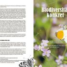 Biodiversität konkret. Biodiversität umfasst die Vielfalt der Arten, der Lebensräume und die genetische Vielfalt. Enthält Schmetterlinge.