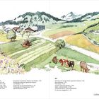 Texte: Maßnahmen, BFF, Lebensraum Grünland.  
Illustration: Ländliche Szene mit Kühen, Traktor und Hügeln.