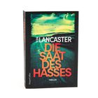 Buchtitel: "DIE SAAT DES HASSES" von NEIL LANCASTER, Thriller. Straßenszene mit dramatischem Himmel.