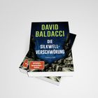 „DAVID BALDACCI, DIE SILKWELL-VERSCHWÖRUNG, THRILLER, SPIEGEL Bestseller-Autor“. Zwei Bücher mit steinernem Hintergrund.