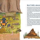 "Müll? Gibt's überall!" Text erklärt die Naturentsorgung durch Tiere. Illustration zeigt Käfer in orangen Westen bei der Arbeit.