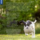 Text: "SPIELEN IST EIN GLÜCKSMOTOR" beschreibt die Bedeutung von Spielen mit dem Hund. Ein Hund rennt fröhlich über Gras.