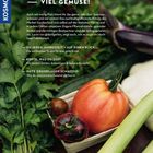 Titel: "Wenig Platz, viel Gemüse!" Text über effizientes Gemüseanbau, Pflanzabstände, Boden und Beettpartner. Vegetarische Motive.