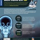 Der Körper. Entdecke deinen Körper – das faszinierende Wunderwerk. Lesen: Entdecke dein Lieblingsthema! Illustration eines Fuchses.