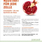 NEUSTART FÜR JEDE ZELLE. Granatapfel – die rote Apotheke der Natur. Illustration eines Granatapfels rechts. Montag, 4.
