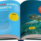 "UNECHTE KARETT-SCHILDKRÖTE", Fakten über artgerechtes Verhalten und Fortpflanzung. Rechts schwimmt eine Meeresschildkröte.