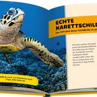ECHTE KARETTSCHILDKRÖTE; Der Schnabel dieser Schildkröte ist spitz. Frage nach Schwämmen mit Seitenhinweis. Foto einer Schildkröte im Meer.