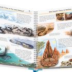 Links: "Was bauen sich Tiere in Eis und Schnee?"; Rechts: "Was bauen Tiere in heißen Regionen?". Illustrationen von Tieren und Bauten.