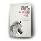 "Norbert Gstrein Im Ersten Licht Roman. Ein Pferd schaut nach links. Zitat von Christoph Schröder, DIE ZEIT."