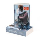 „Miriam Georg Salzwind Roman“ steht auf dem Cover. Frau mit wehendem Rock vor Küstenlandschaft. Bucheinband spiegelt dies wider.