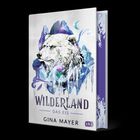 „Wilderland: Das Eis“, Gina Mayer, cbj. Illustration eines weißen Bären vor eisigen Bergen, mit Mond und Eisverzierungen.