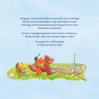 Ein Text beschreibt, dass auf der Dracheninsel Gegenstände verschwinden. Illustration mit einem Drachen und Freunden in Aktion.