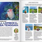"Willkommen auf Bali, Lombok & in Nusa Tenggara. Lieblingsplätze unserer Autor:innen. Taucher, Pulau Menjangan. Reiseplanung."
