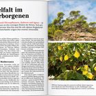 Seite 284: Vielfalt im Verborgenen. Beschreibung mediterraner Vegetation mit Bildern von Pinien auf Felsen und Zitronen.