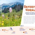 Logo für die Bayerischen Voralpen. Text: Eine Wanderung durchs Leitzachtal. Blumenwiese mit Bergen im Hintergrund.